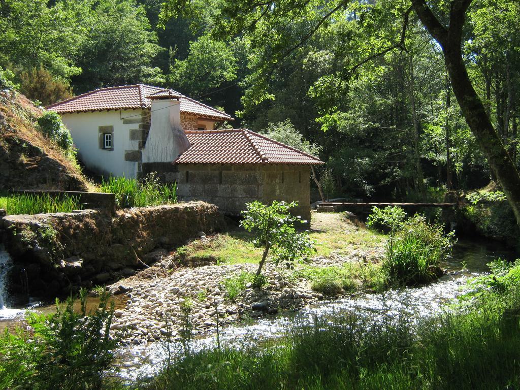 Pensjonat Moinho Da Cruz Ponte de Lima Pokój zdjęcie